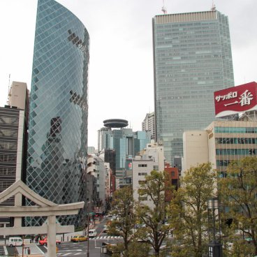 Hie-jinja (Tokyo), Great Sanno Torii gate at the main entrance of the shrine 3