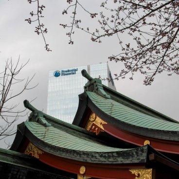 Hie-jinja (Tokyo), View on the shrine's green roofs