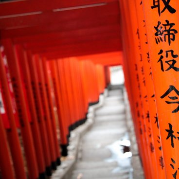 Hie-jinja (Tokyo), Vermilion torii gates alley at the secondary Inari shrine 3