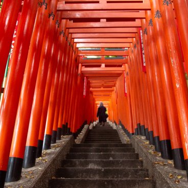 Hie-jinja (Tokyo), Vermilion torii gates alley at the secondary Inari shrine 5