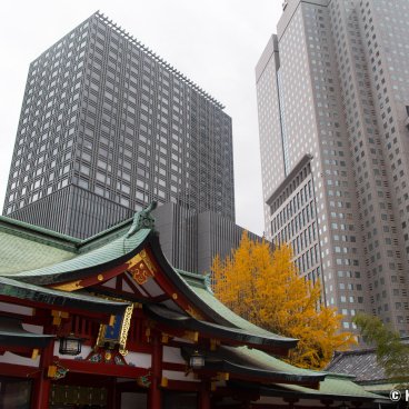 Hie-jinja (Tokyo), Hall of worship Haiden and skyscrapers