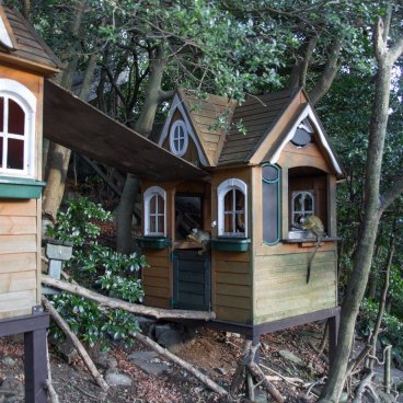 Izu Shaboten Zoo, Lemurs' islands and enclosure 2