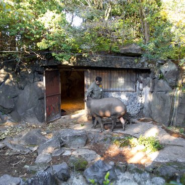 Izu Shaboten Zoo, Tapirs' enclosure