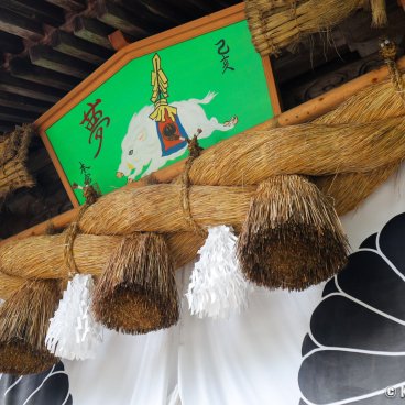 Kumano Hongu Taisha, Shinmon gate, Shimenawa cord and decoration for the year of the boar (2019)