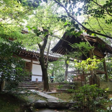 Choraku-ji (Kyoto), Pavilions of the temple under the vegetation