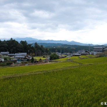 Yoshino Forest Therapy, View on the Japanese countryside 2