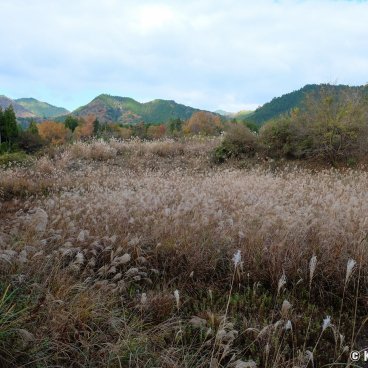 Yoshino Forest Therapy, View on the Japanese countryside