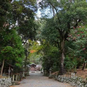 Yoshino Forest Therapy, Yoshinoyamaguchi shrine