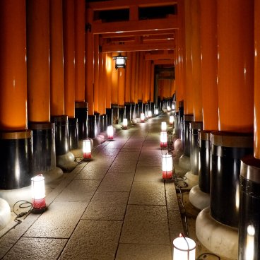 Fushimi Inari Taisha, Torii gate corridor lit up by lanterns at night