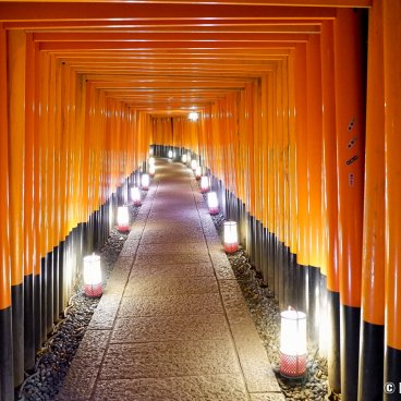 Fushimi Inari Taisha, Torii gate corridor lit up by lanterns at night 2