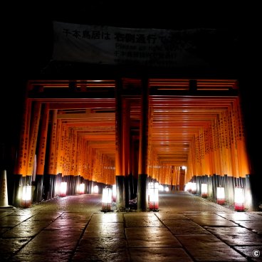 Fushimi Inari Taisha, Torii gate corridor lit up by lanterns at night 4