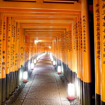 Fushimi Inari Taisha, Torii gate corridor lit up by lanterns at night 5