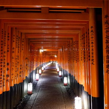 Fushimi Inari Taisha (Kyoto), Torii gate tunnel lit up by lanterns at night during the Motomiya-sai festival 6