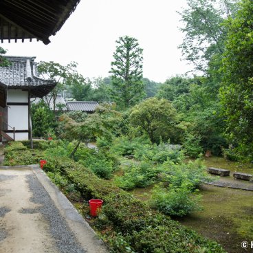 Joju-ji (Kyoto), View on the vegetation and the temple's pavilions