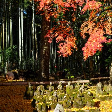 Sekizan Zen-in (Kyoto), Rakan monks statues and autumn foliage
