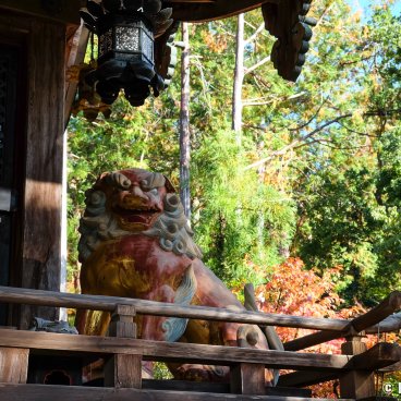 Sekizan Zen-in (Kyoto), Komainu statue at the main pavilion