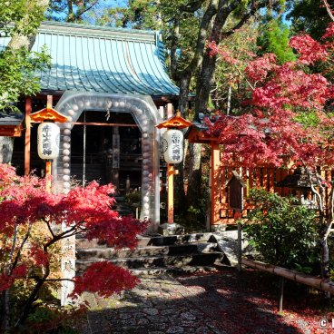 Sekizan Zen-in (Kyoto), Main pavilion of the temple in autumn