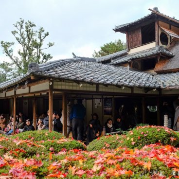 Shisen-do (Kyoto), Azalea bushes in autumn and visitors in the villa