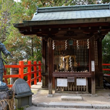 Shisen-do (Kyoto), Pavilion sheltering the Sagarimatsu Pine tree and statue of Miyamoto Musashi