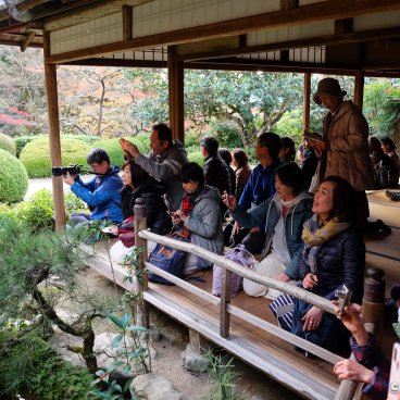 Shisen-do (Kyoto), Group of visitors in autumn