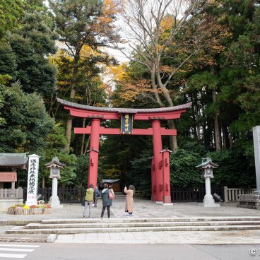 Yahiko-jinja, Vermilion torii gate at the entrance of the grounds