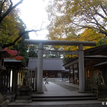 Nogi-jinja (Tokyo), Torii gate and pavilions in autumn