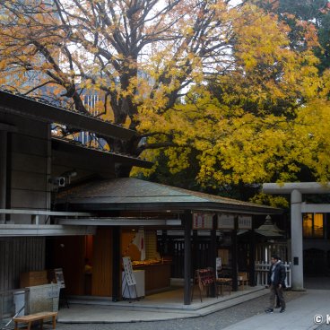 Nogi-jinja (Tokyo), Torii gate and pavilions in autumn 2