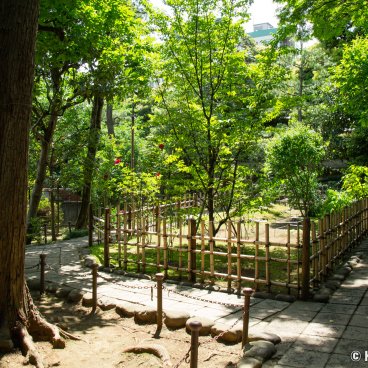 Nogi-jinja (Tokyo), Garden next to the shrine