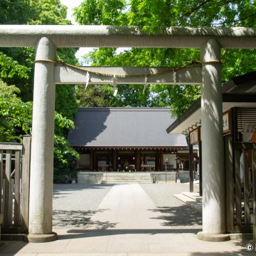 Nogi-jinja (Tokyo), Torii gate and pavilions in spring 2