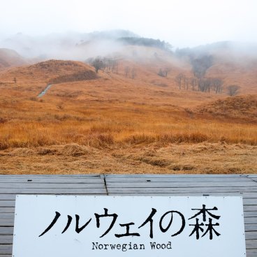Tonomine Highlands (Hyogo), Viewing platform on the Norwegian Wood