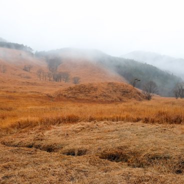 Tonomine Highlands (Hyogo), View on the susuki fields in autumn