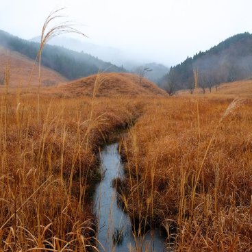 Tonomine Highlands (Hyogo), Susuki field and a stream in autumn