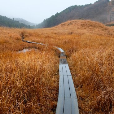 Tonomine Highlands (Hyogo), Susuki fields and boardwalk in autumn