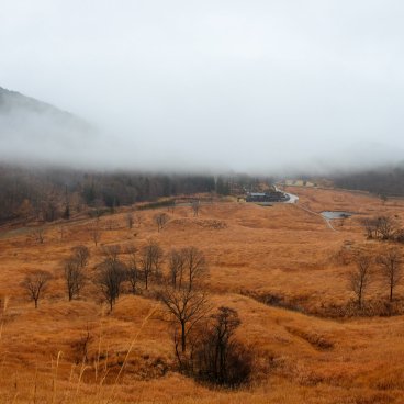 Tonomine Highlands (Hyogo), View on the susuki fields in autumn 2