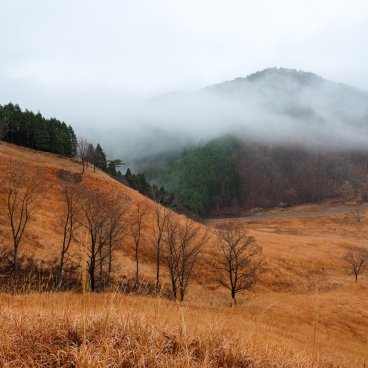 Tonomine Highlands (Hyogo), View on the susuki fields in autumn 3