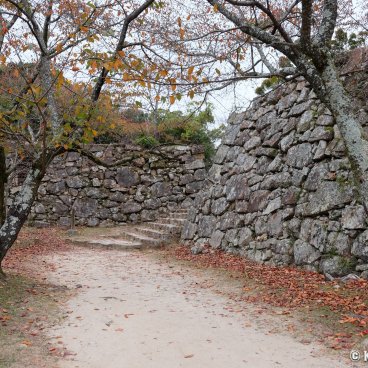 Sumoto Castle (Awaji), Ruins and stone walls in autumn