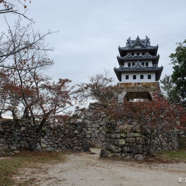Sumoto Castle (Awaji), Reconstructed keep and cherry trees in autumn