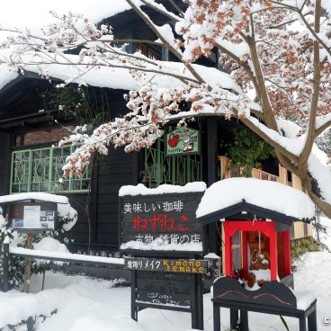 Kakunodate (Akita), Nezu-neko cafe and inn