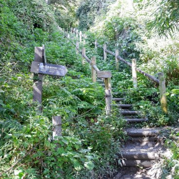 Daibutsu Hiking Trail (Kamakura), Stairway in the hilly forest