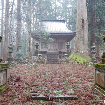 Kinpo-jinja (Akita), Komainu statues and shrine's main hall