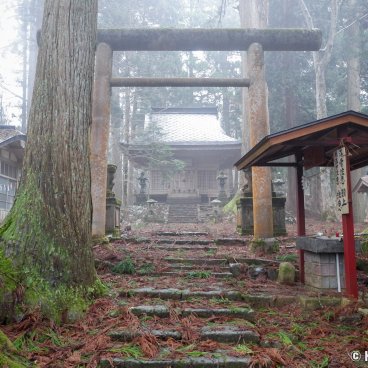 Kinpo-jinja (Akita), View on the Shinto grounds in the cedar trees forest
