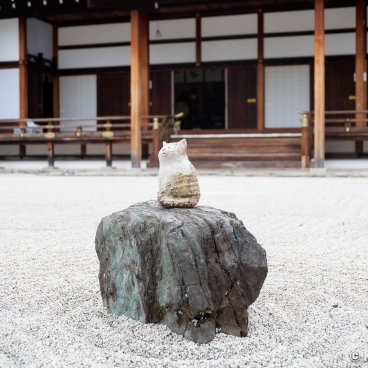 Shogo-in (Kyoto), View on the Shinden pavilion and the temple's dry garden 3