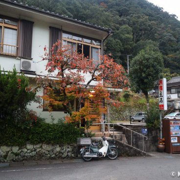 Kawayu Onsen Fujiya (Kumano Kodo), View on the thermal village 3