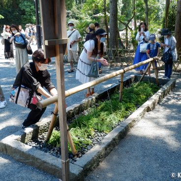 Tsurugaoka Hachiman-gu (Kamakura), Visitors around the ablution basin Chozuya during the Covid pandemic