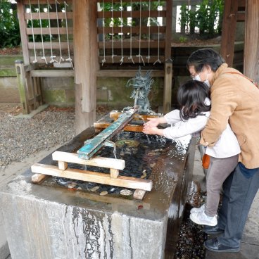 Hikawa-jinja (Kawagoe), Adult teaching a child to use the Chozuya ablution basin during the Covid pandemic