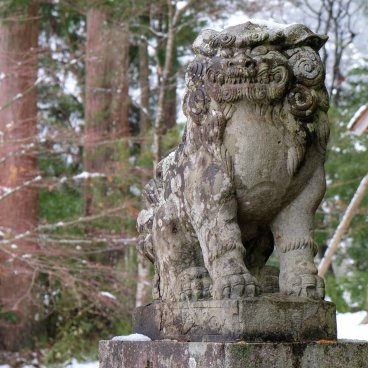 Miyama (Kayabuki no Sato), Komainu statue at Chii Hachiman-jinja shrine