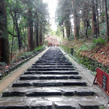 Zuihoden (Sendai), Stairway through the forest to Date Masamune's mausoleum