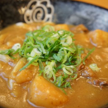 Curry Udon