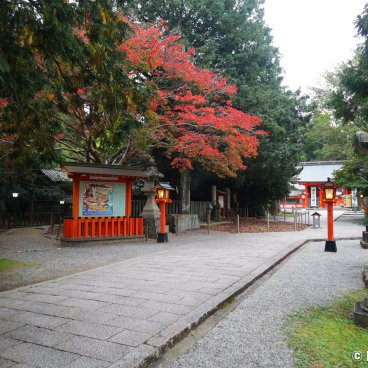 Kumano Hayatama Taisha, Entrance of the shrine in autumn