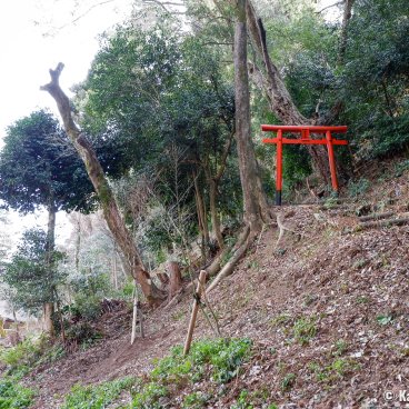 Matsunoo Taisha (Kyoto), Path on the side of Mount Matsuo towards the sacred waterfall